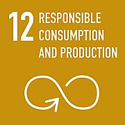 Responsible consumption and production