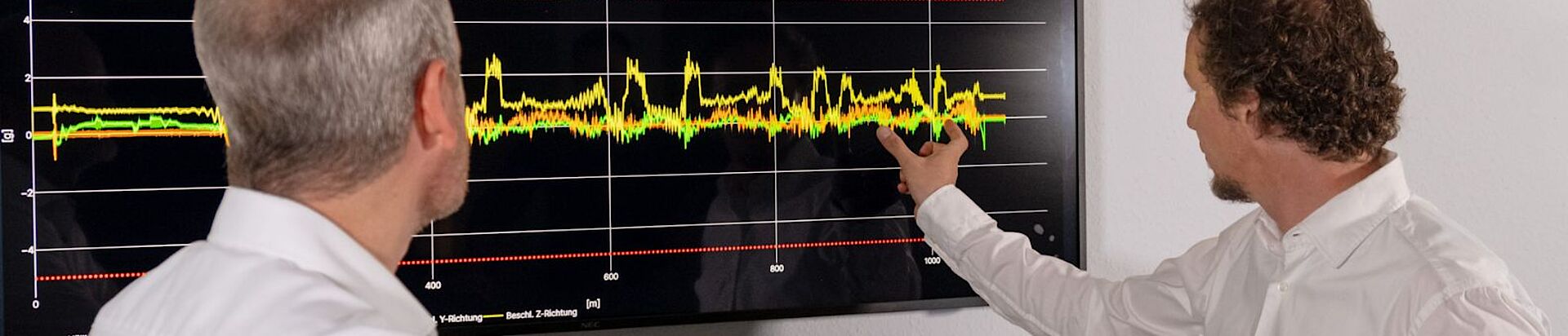 Online monitoring system for monitoring the condition of amusement park rides